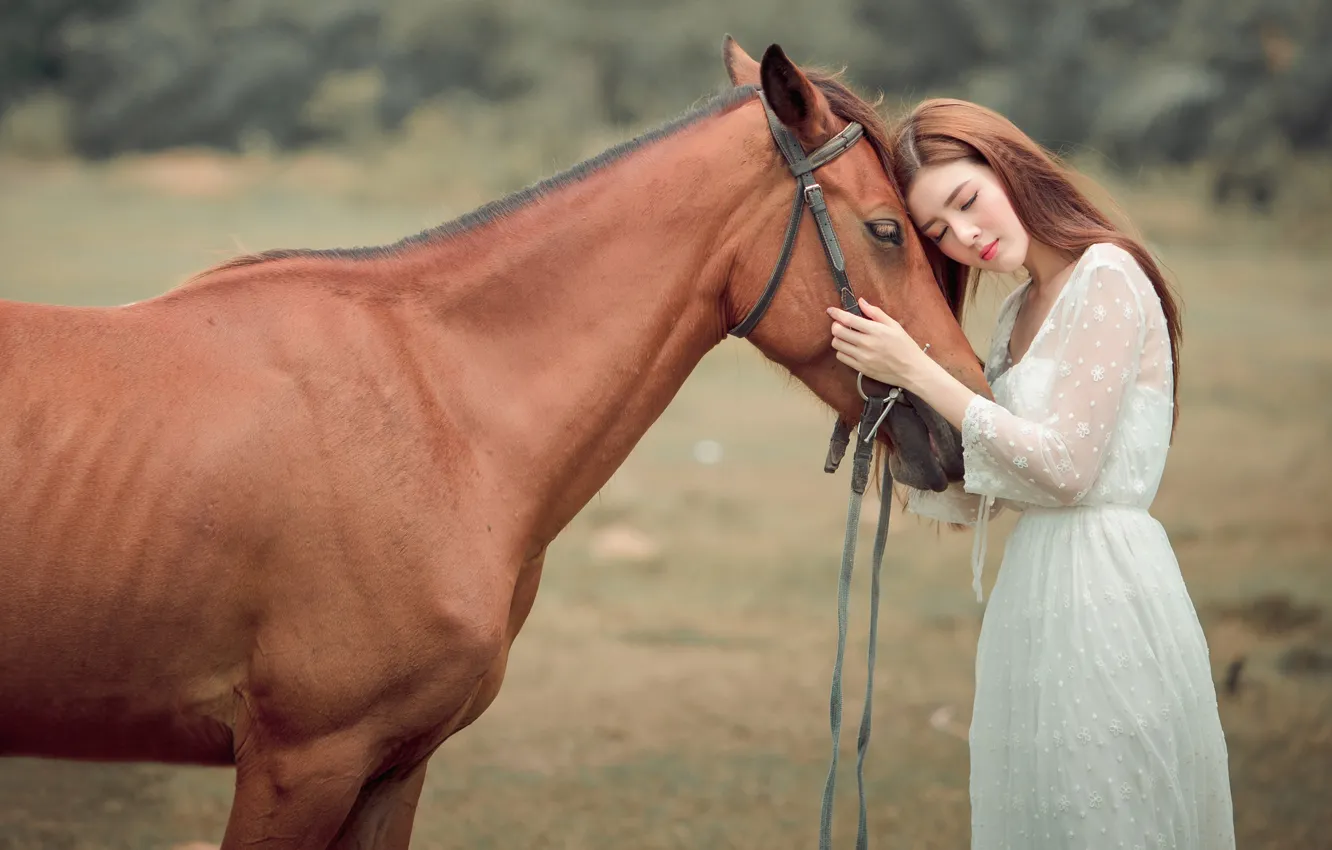 Photo wallpaper field, face, girl, nature, face, pose, each, horse