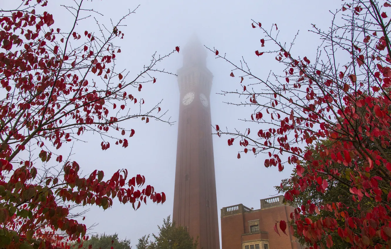 Photo wallpaper autumn, the sky, leaves, branches, fog, tower, home