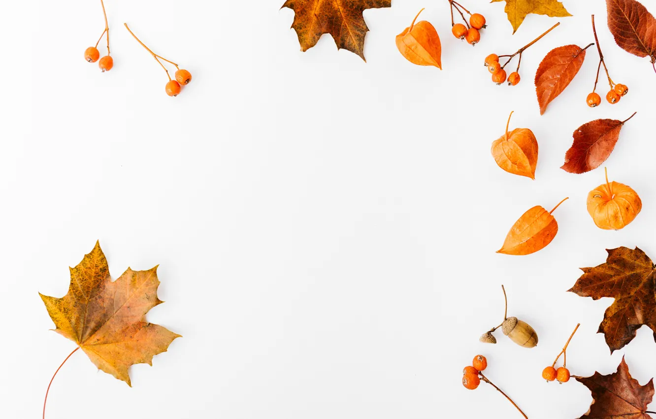 Photo wallpaper autumn, leaves, background, colorful, background, autumn, leaves, autumn