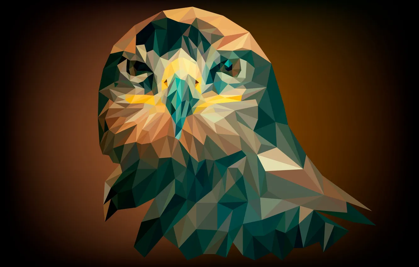 Photo wallpaper bird, owl, abstact