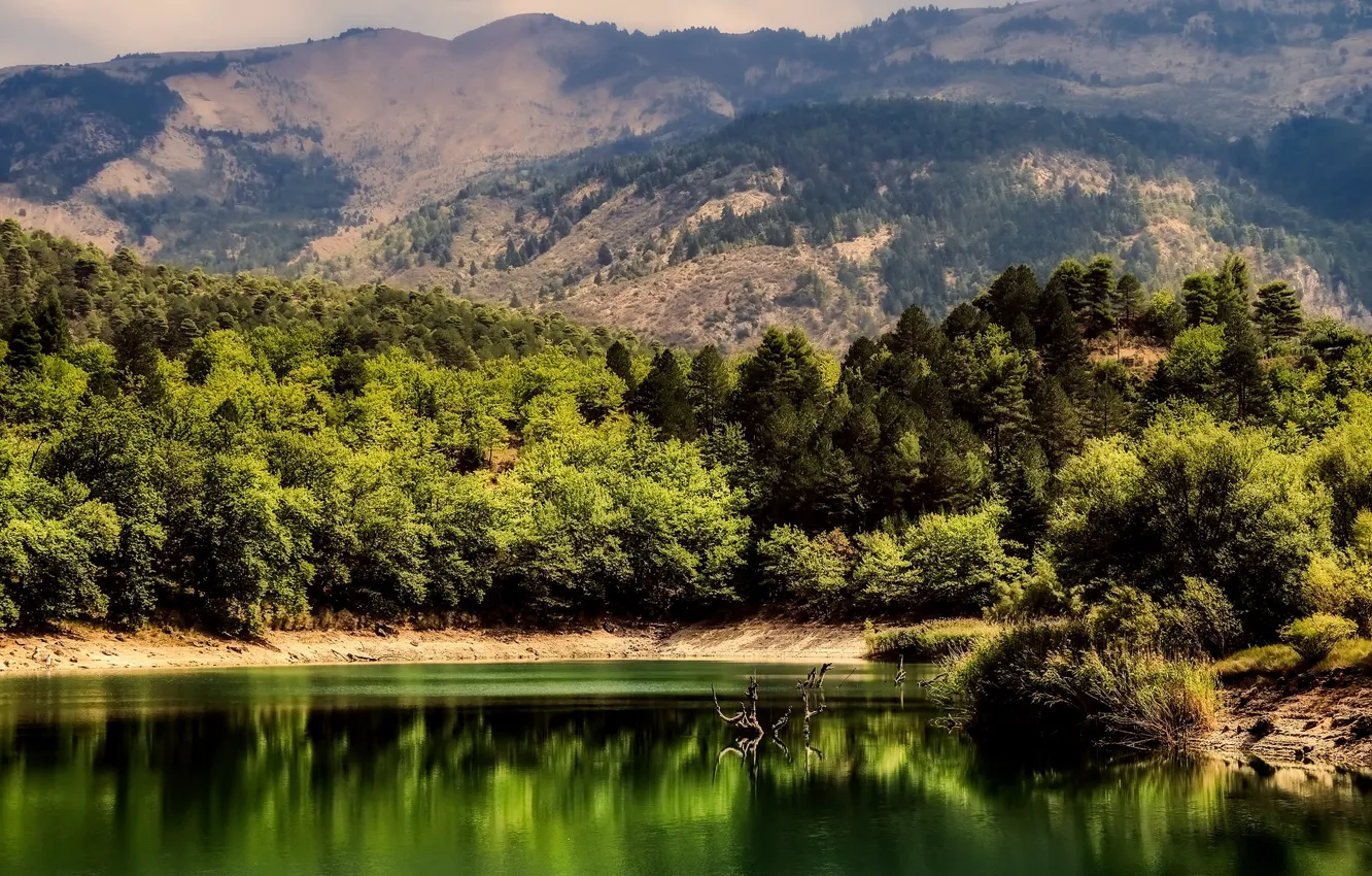 Photo wallpaper summer, trees, mountains, lake
