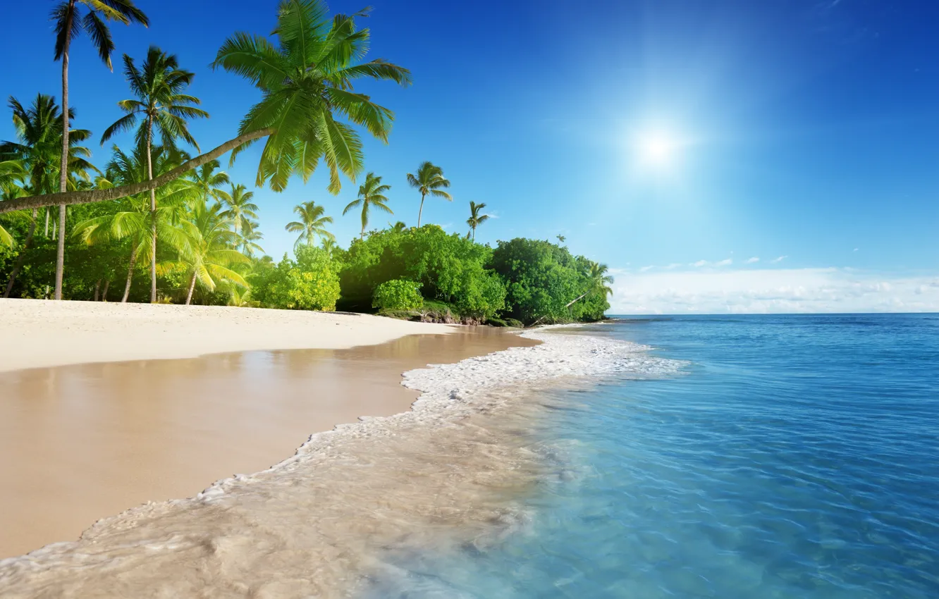 Photo wallpaper beach, tropics, palm trees, coast