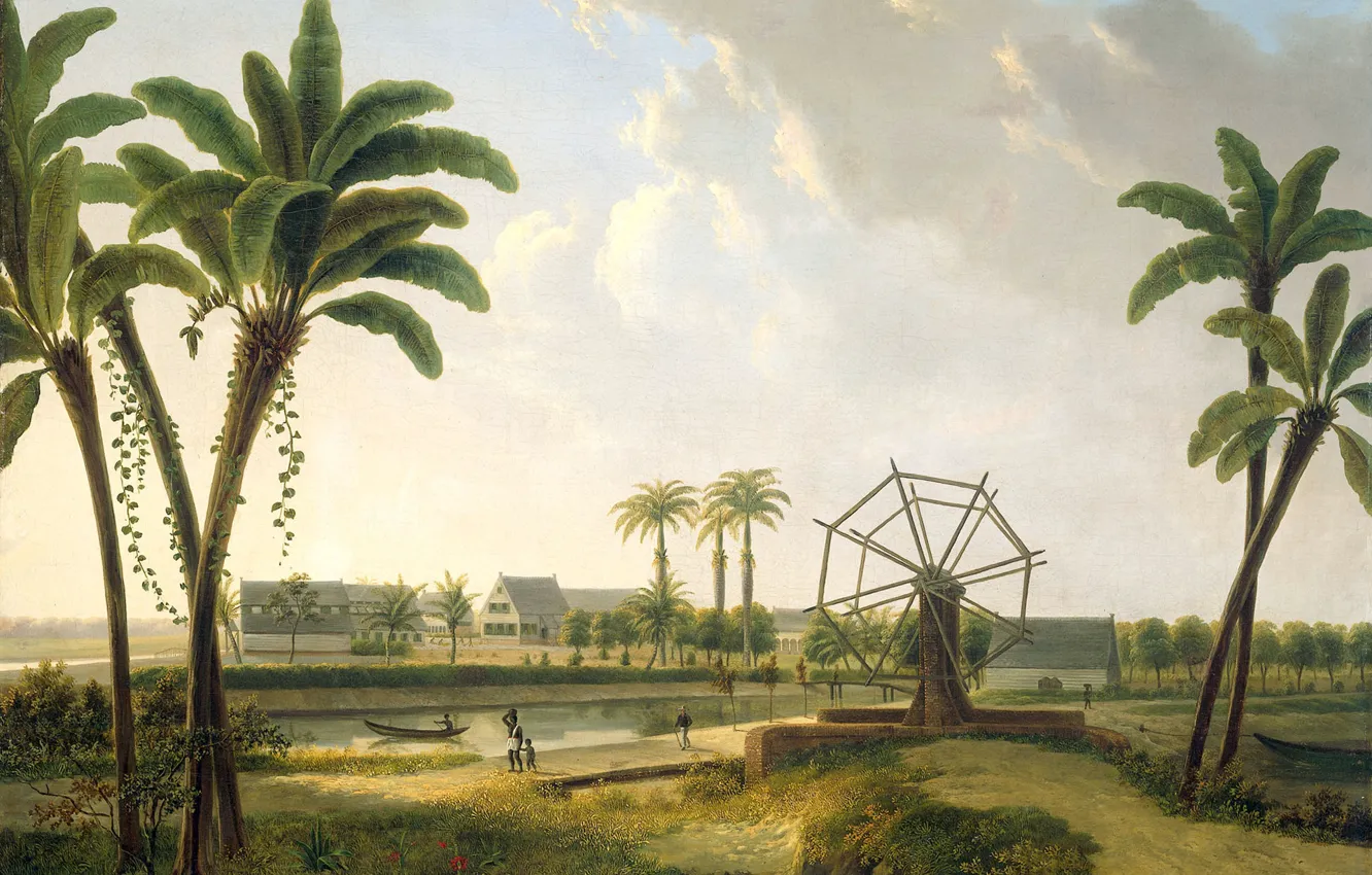 Photo wallpaper landscape, picture, Willem de Klerk, Views of the Coffee Plantation in Suriname