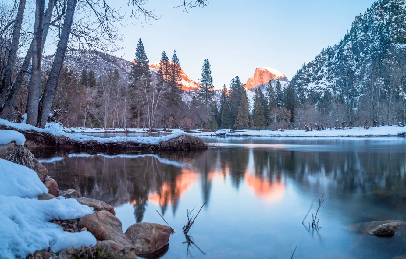 Photo wallpaper winter, forest, clouds, snow, trees, landscape, mountains, nature