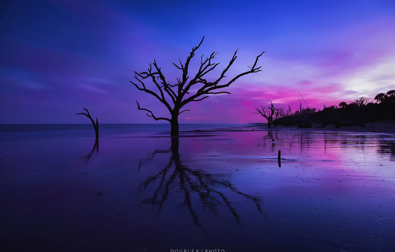 Photo wallpaper sea, beach, trees, the evening, morning, silhouette