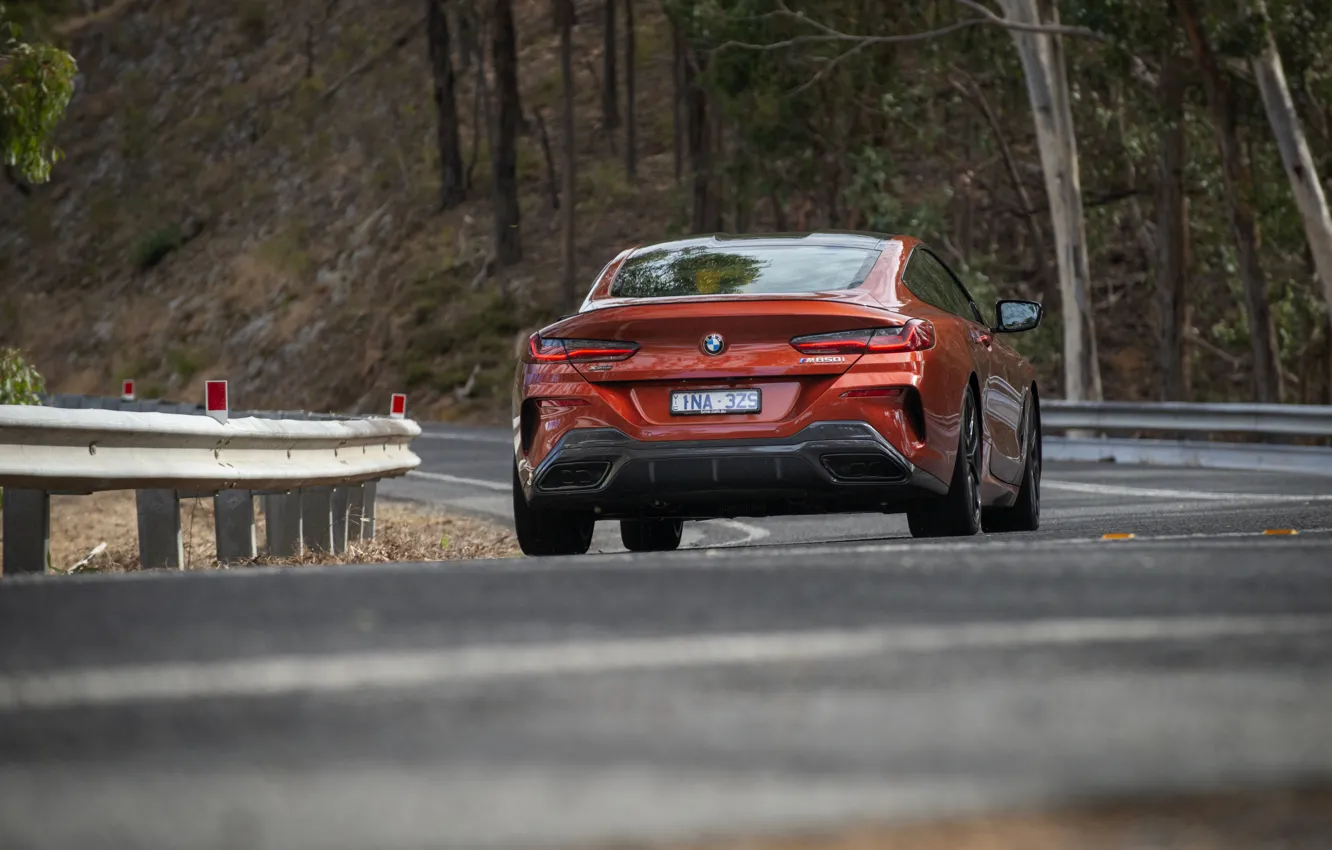 Photo wallpaper coupe, BMW, the fence, rear view, 2018, 8-Series, 2019, dark orange