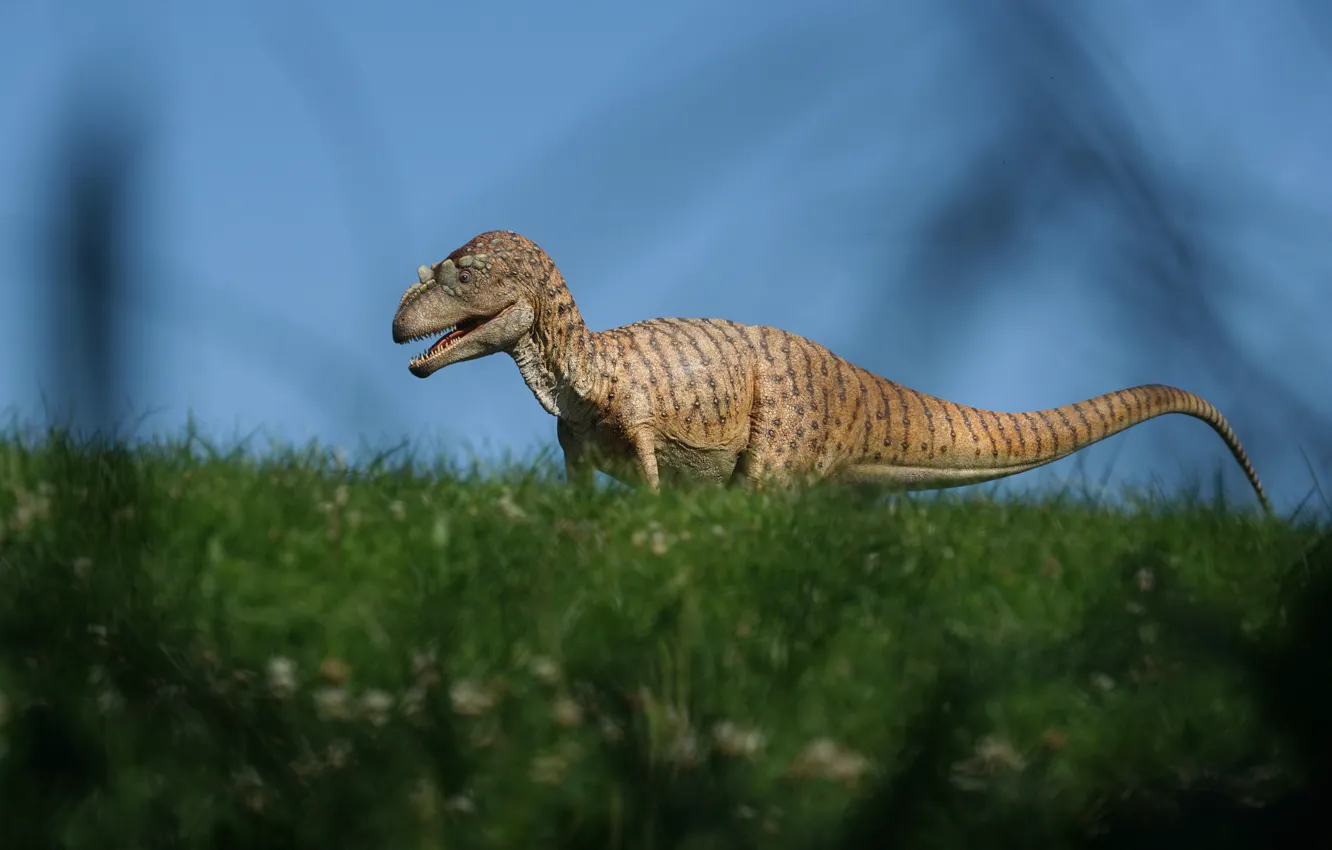 Photo wallpaper field, grass, dinosaur