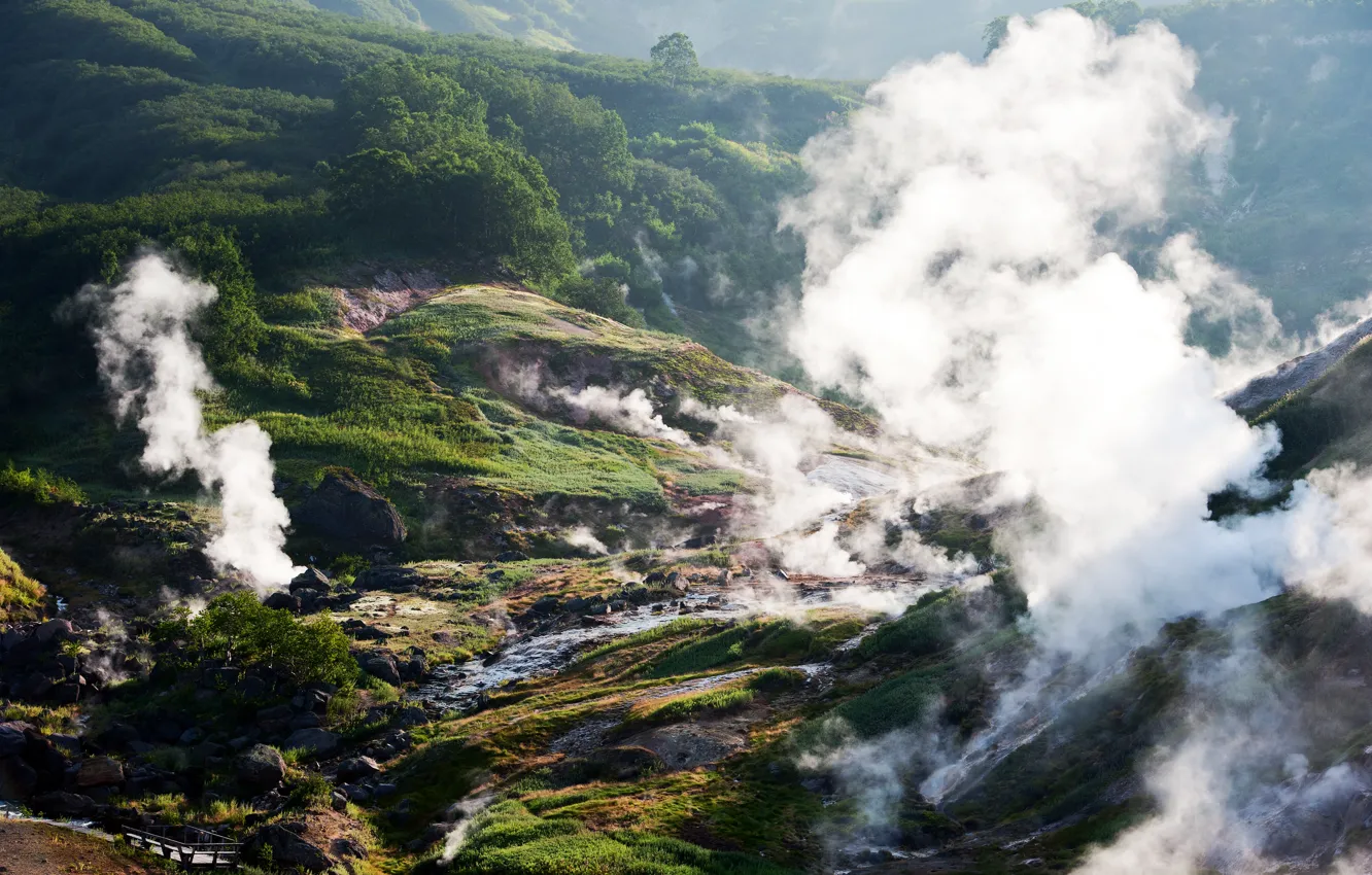 Photo wallpaper greens, grass, the sun, trees, mountains, stream, stones, valley