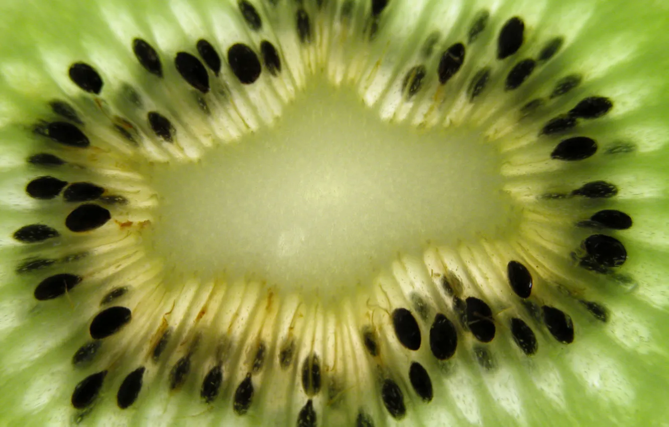 Photo wallpaper kiwi, fruit, kiwi