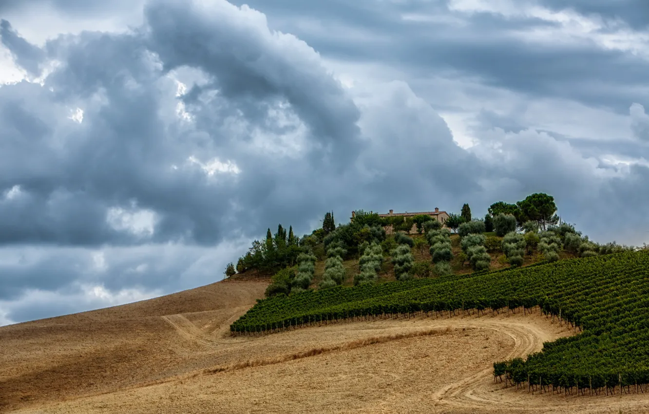 Photo wallpaper field, landscape, mountains