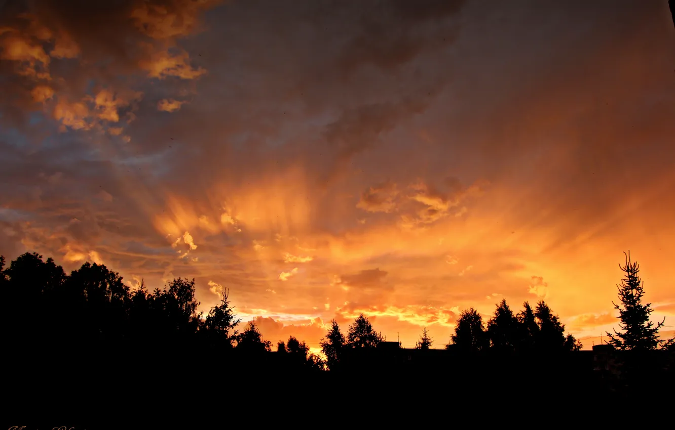 Photo wallpaper forest, clouds, home, Sunset