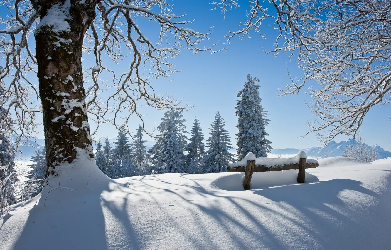 Photo wallpaper winter, snow, landscape, tree, beauty, bench