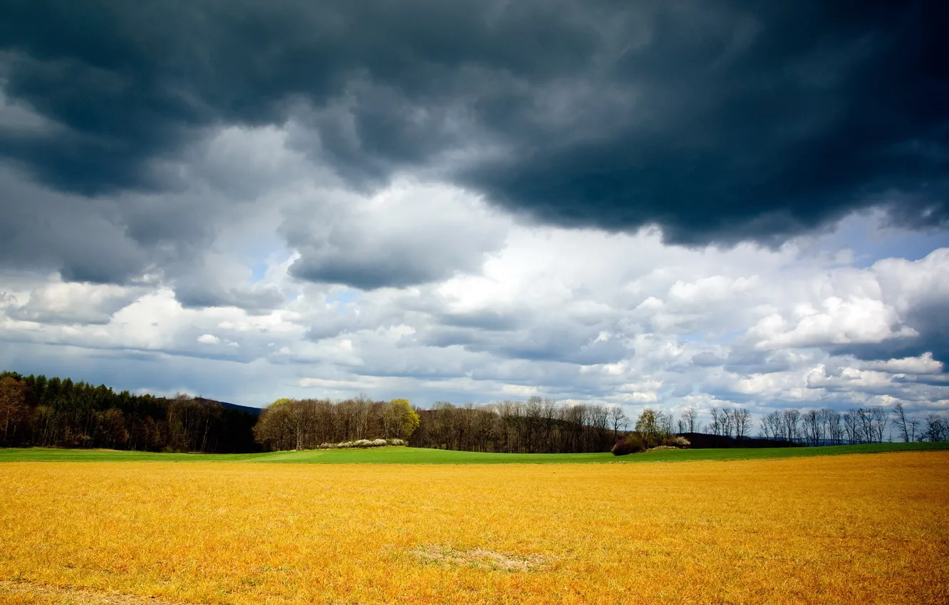 Photo wallpaper field, the sky, landscape, clouds, nature