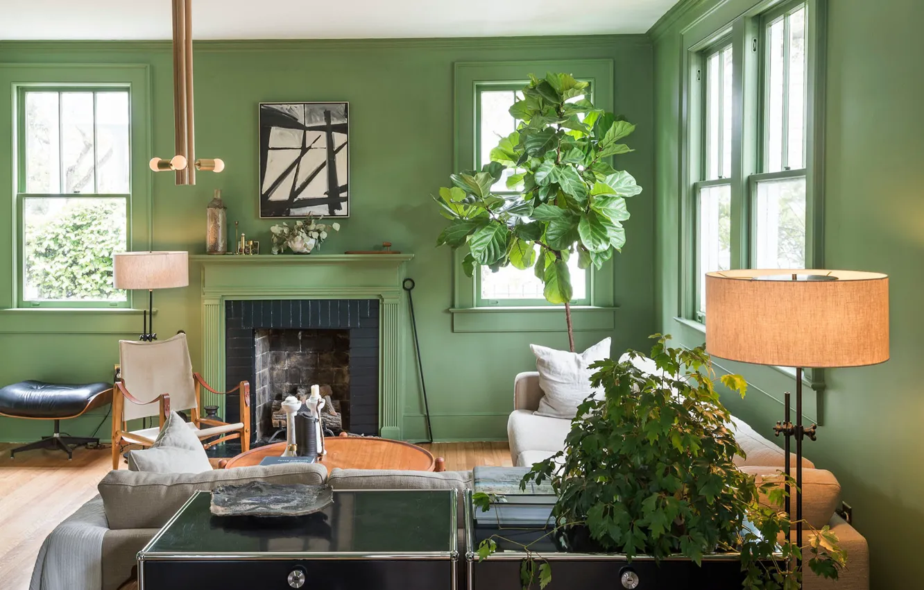 Photo wallpaper design, style, room, plant, interior, fireplace, living room, natural green