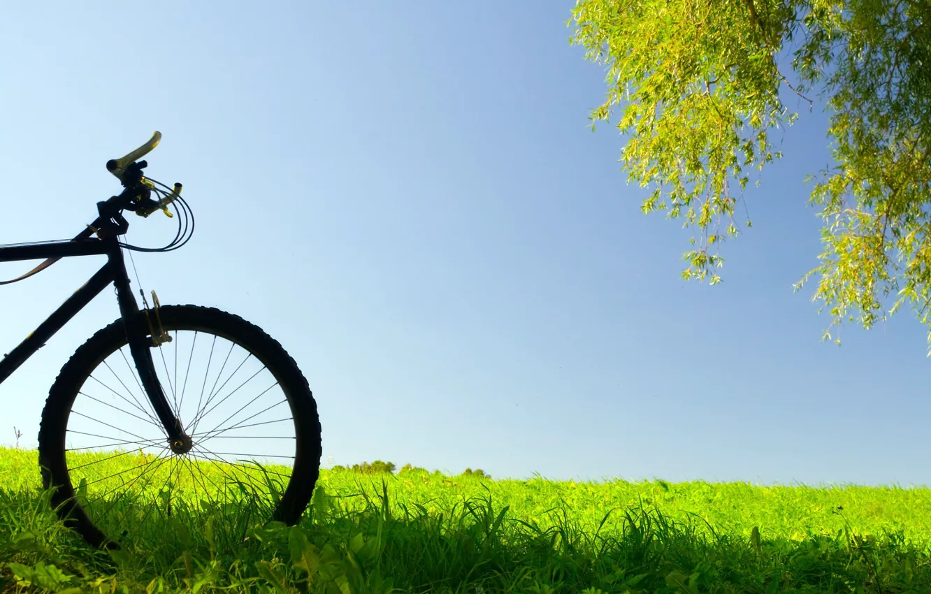 Photo wallpaper greens, the sky, grass, leaves, bike, background, tree, widescreen