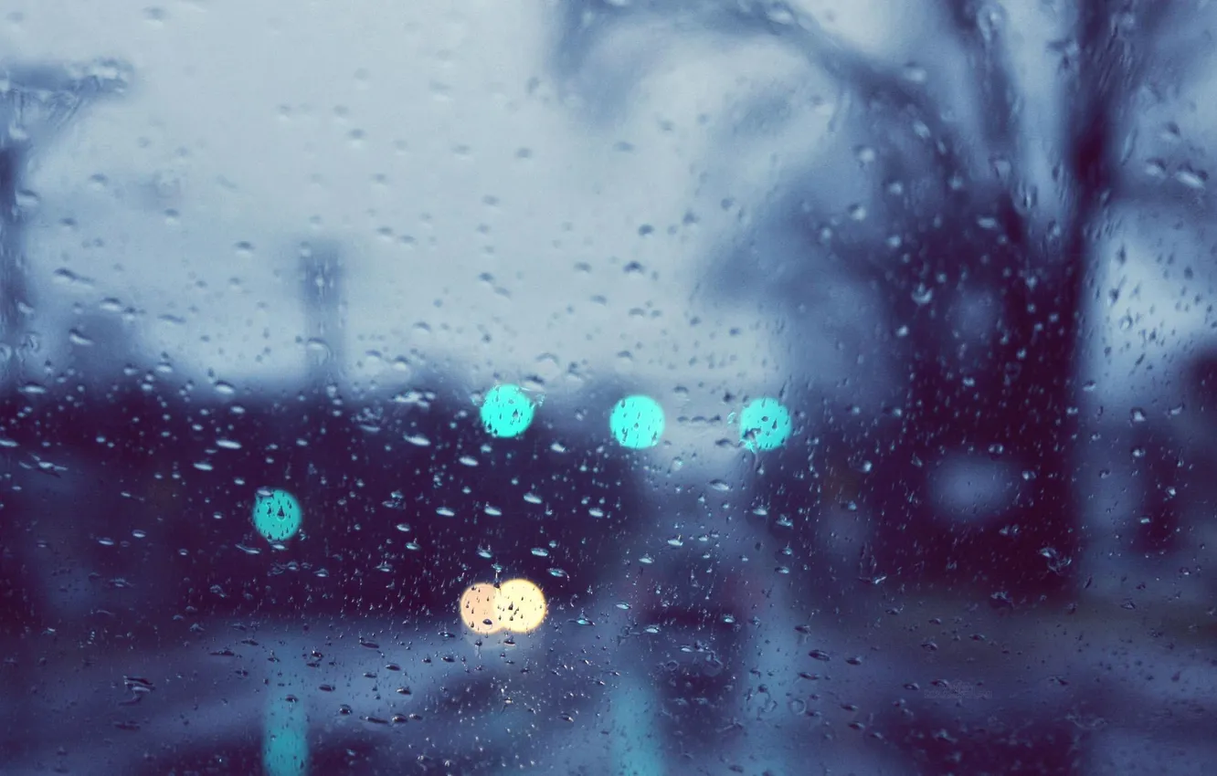 Photo wallpaper Macro, Glass, Rain, Rain