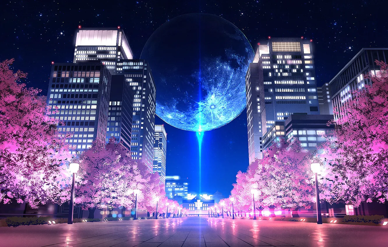 Photo wallpaper night, the city, the moon, Sakura, flowering