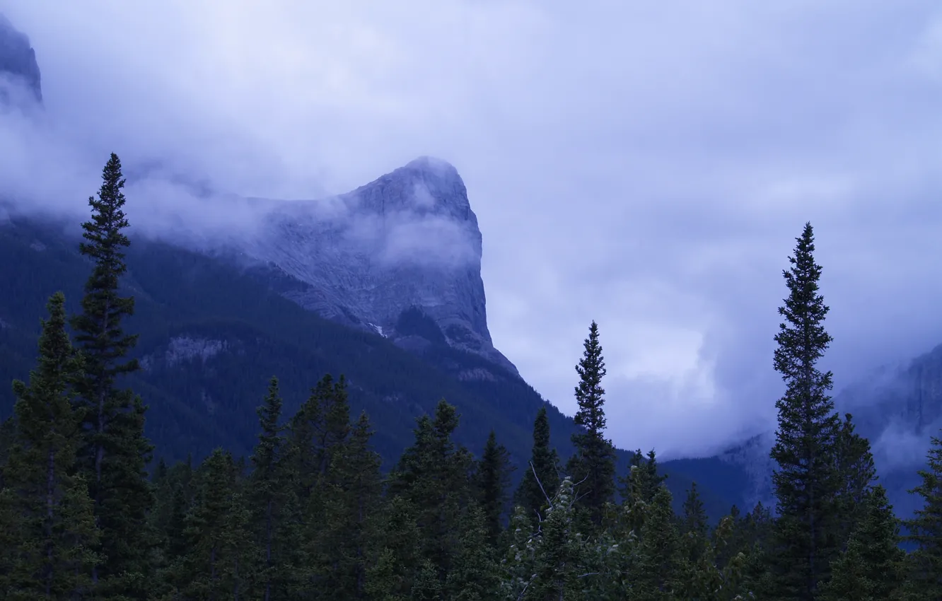 Photo wallpaper the sky, trees, mountains, clouds, nature, rocks, Canada, Albert