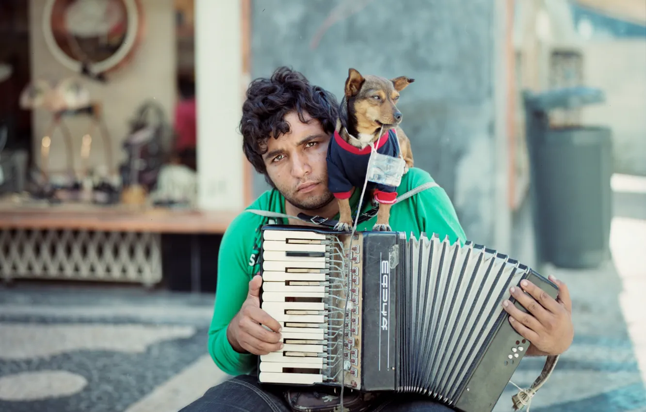 Photo wallpaper music, dog, musician