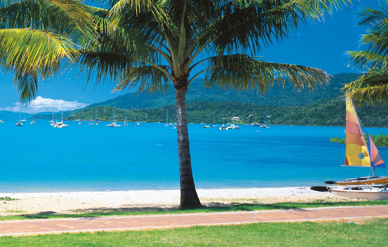 Photo wallpaper sea, beach, palm trees, boat, sail