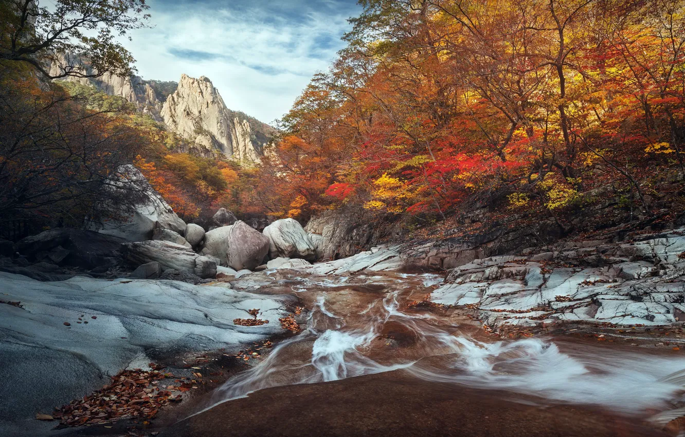Photo wallpaper South Korea, autumn, River, Seoraksan national park