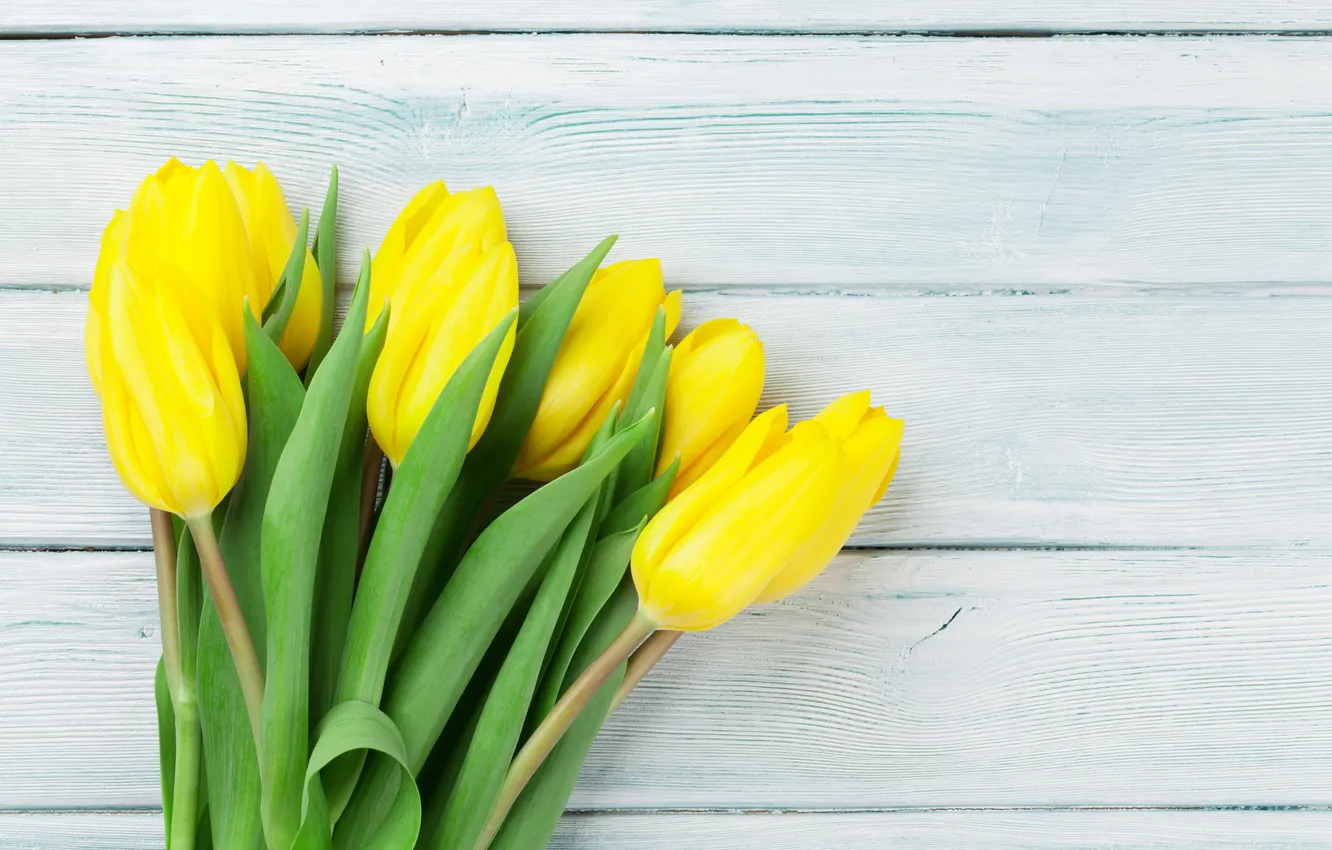 Photo wallpaper flowers, bouquet, tulips, yellow, wood, flowers, tulips, spring
