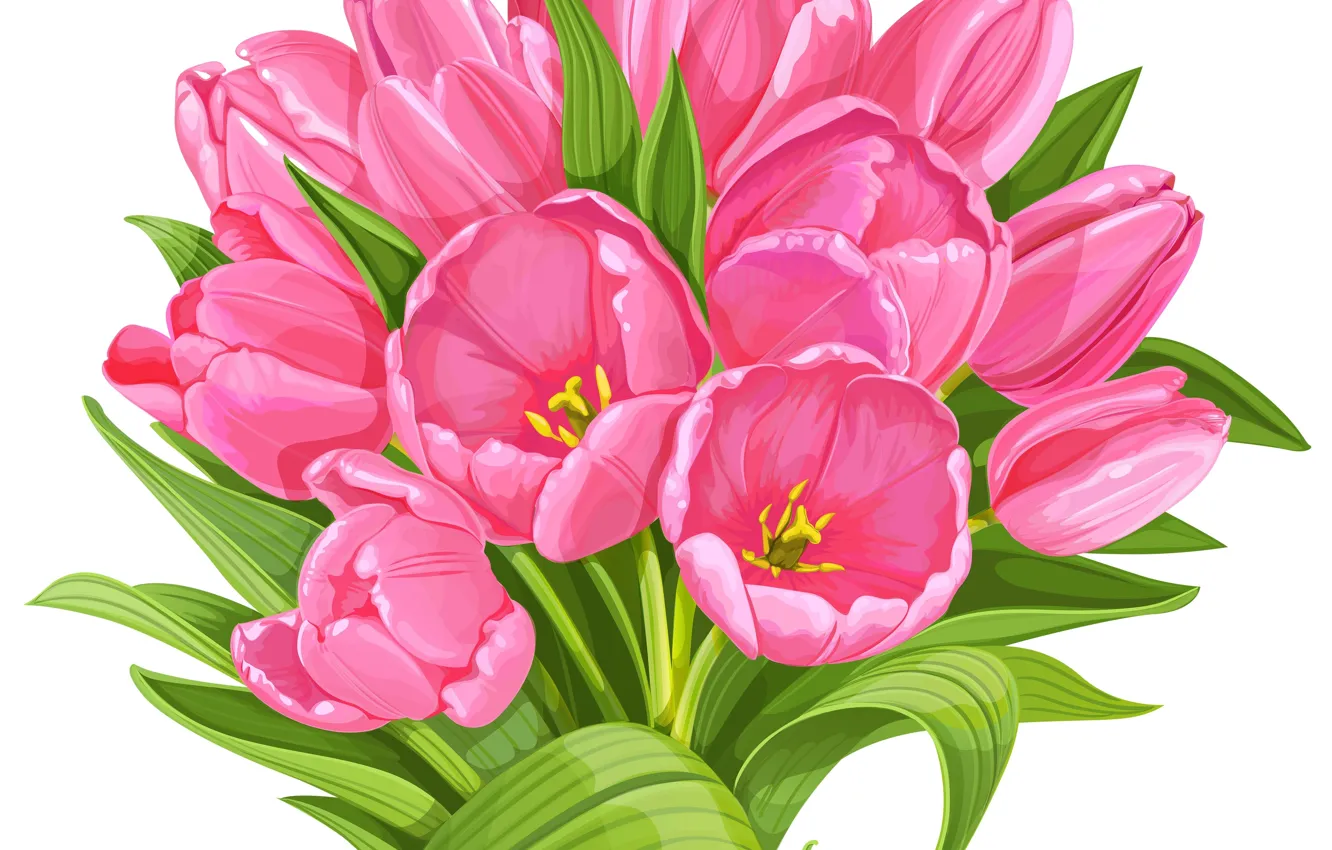 Photo wallpaper bouquet, spring, tulips, pink, vector graphics