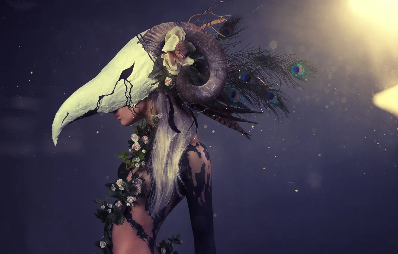 Photo wallpaper girl, fantasy, skull, art