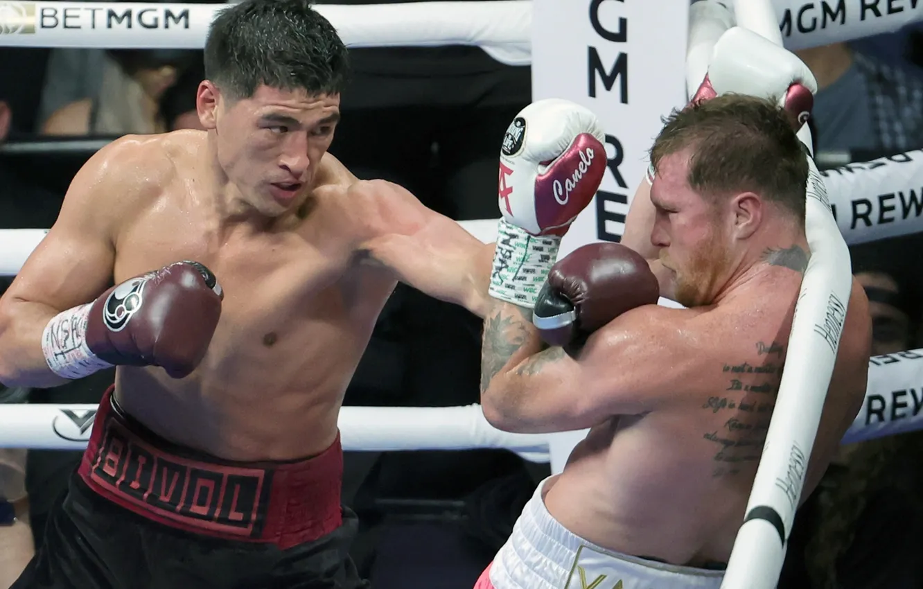 Photo wallpaper Boxing, Saul "Canelo" Alvarez, Dmitry Bivol, Canelo Alvarez