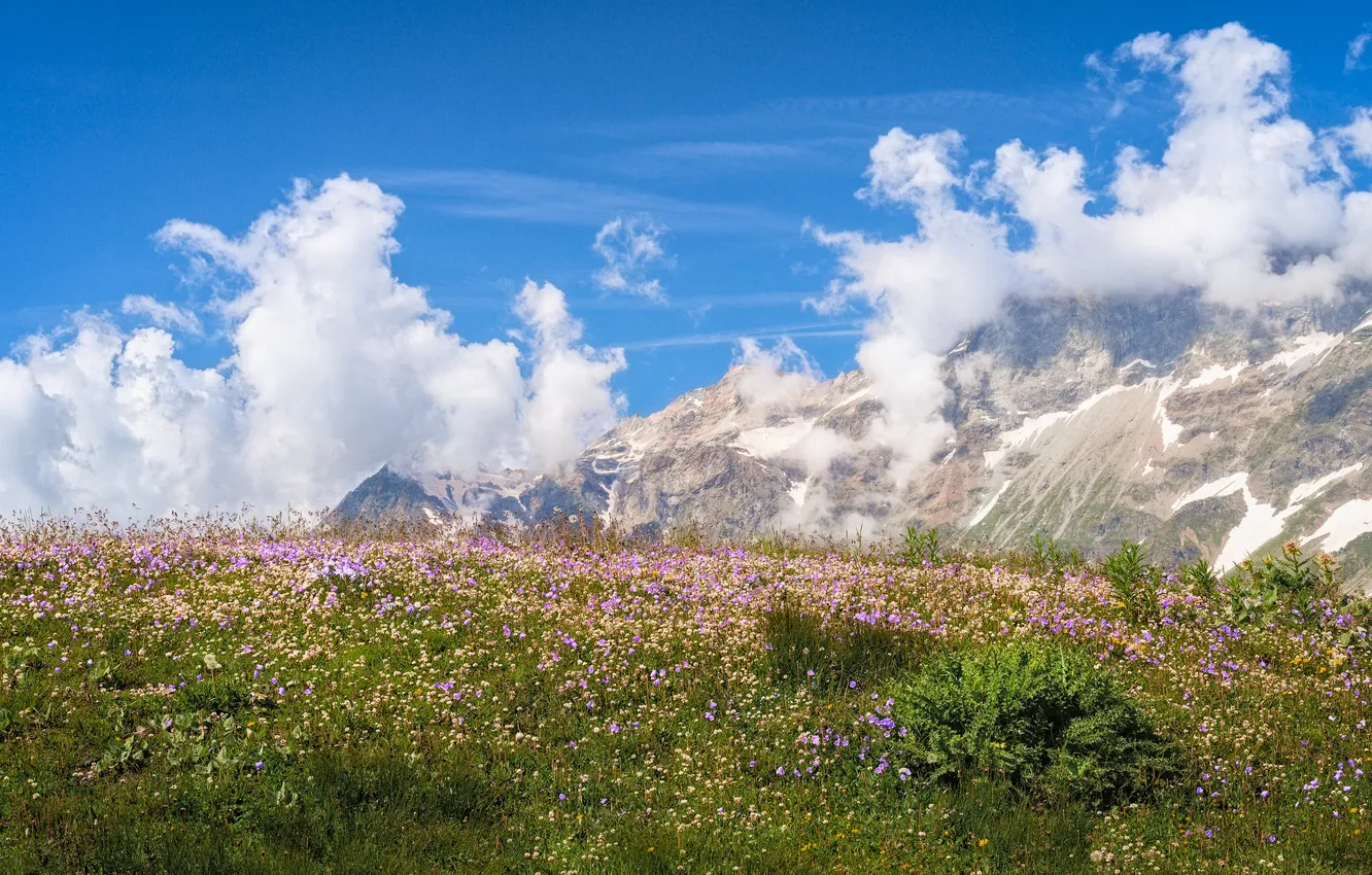 Photo wallpaper clouds, mountains, meadow