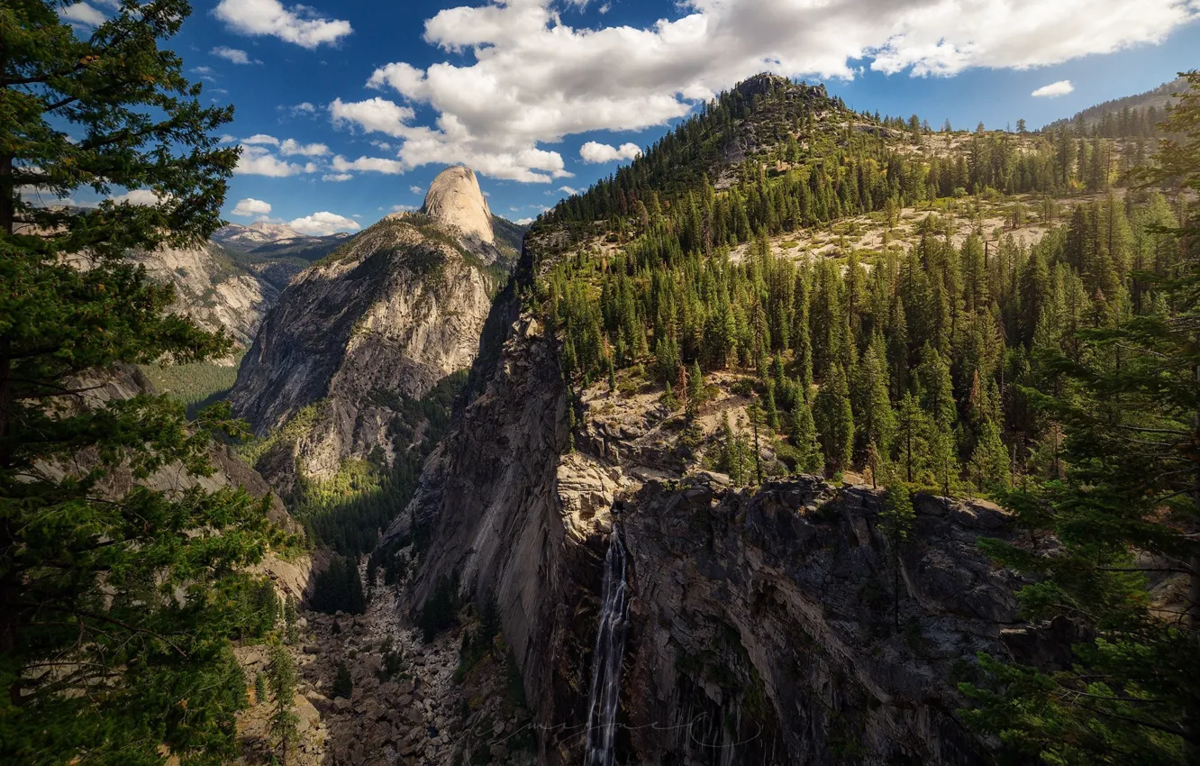 Photo wallpaper forest, mountains, rocks, USA, forest