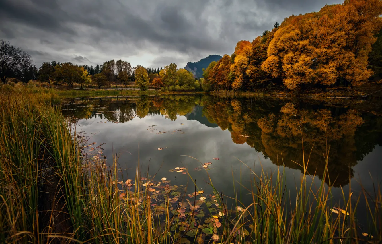 Photo wallpaper autumn, trees, reflection, river