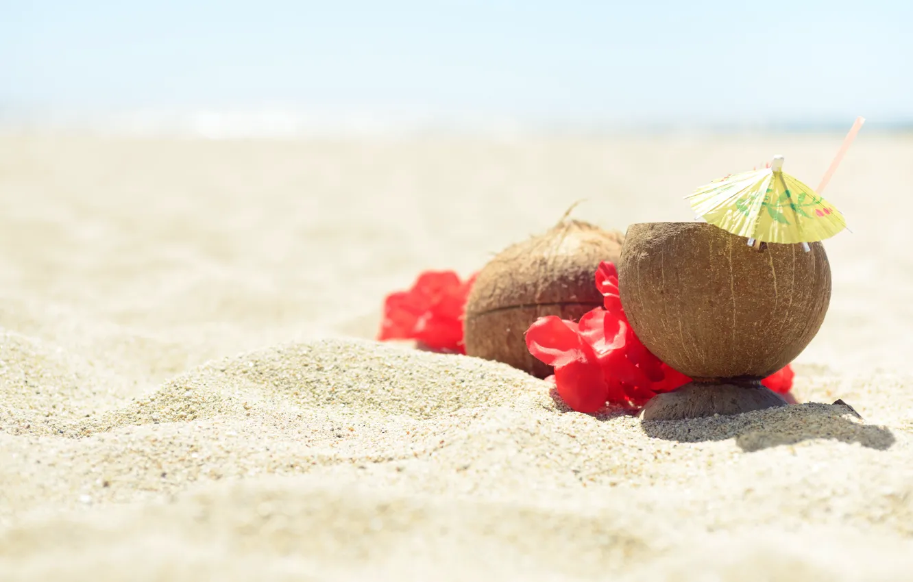Photo wallpaper sand, sea, beach, summer, the sky, flowers, coconut, summer
