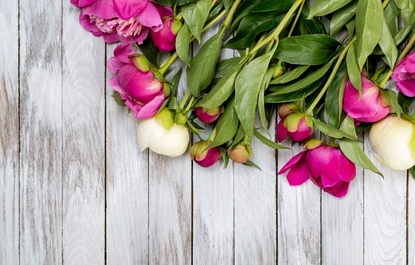 Photo wallpaper bouquet, buds, wood, pink, flowers, romantic, peonies, peonies