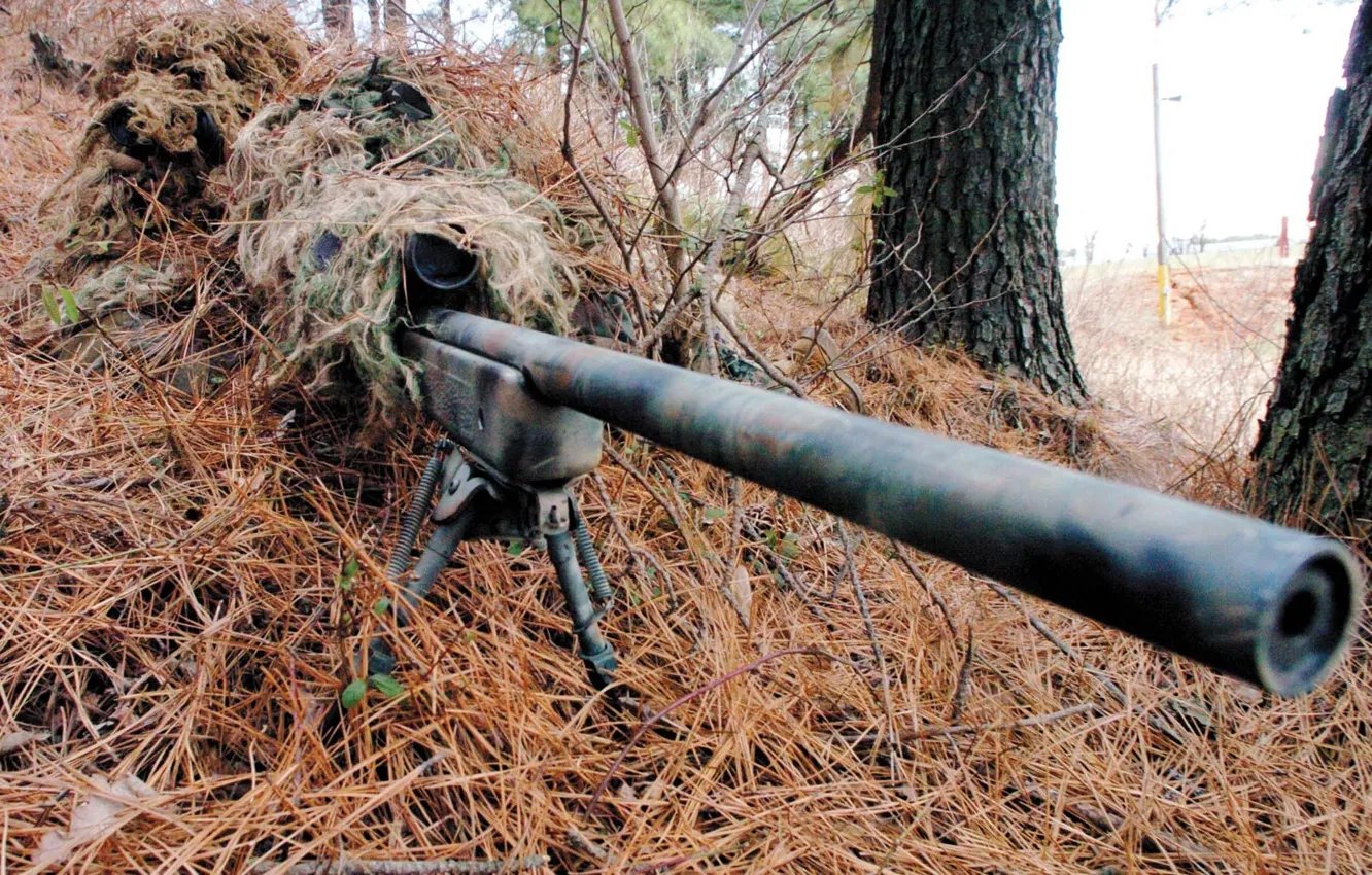 Photo wallpaper weapons, shelter, disguise, sniper, sight