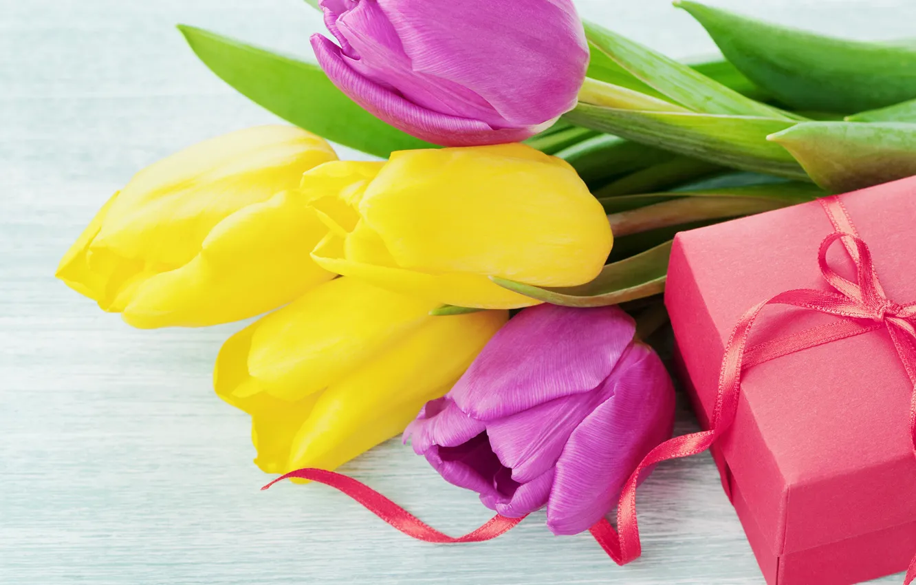 Photo wallpaper gift, spring, tulips, March 8