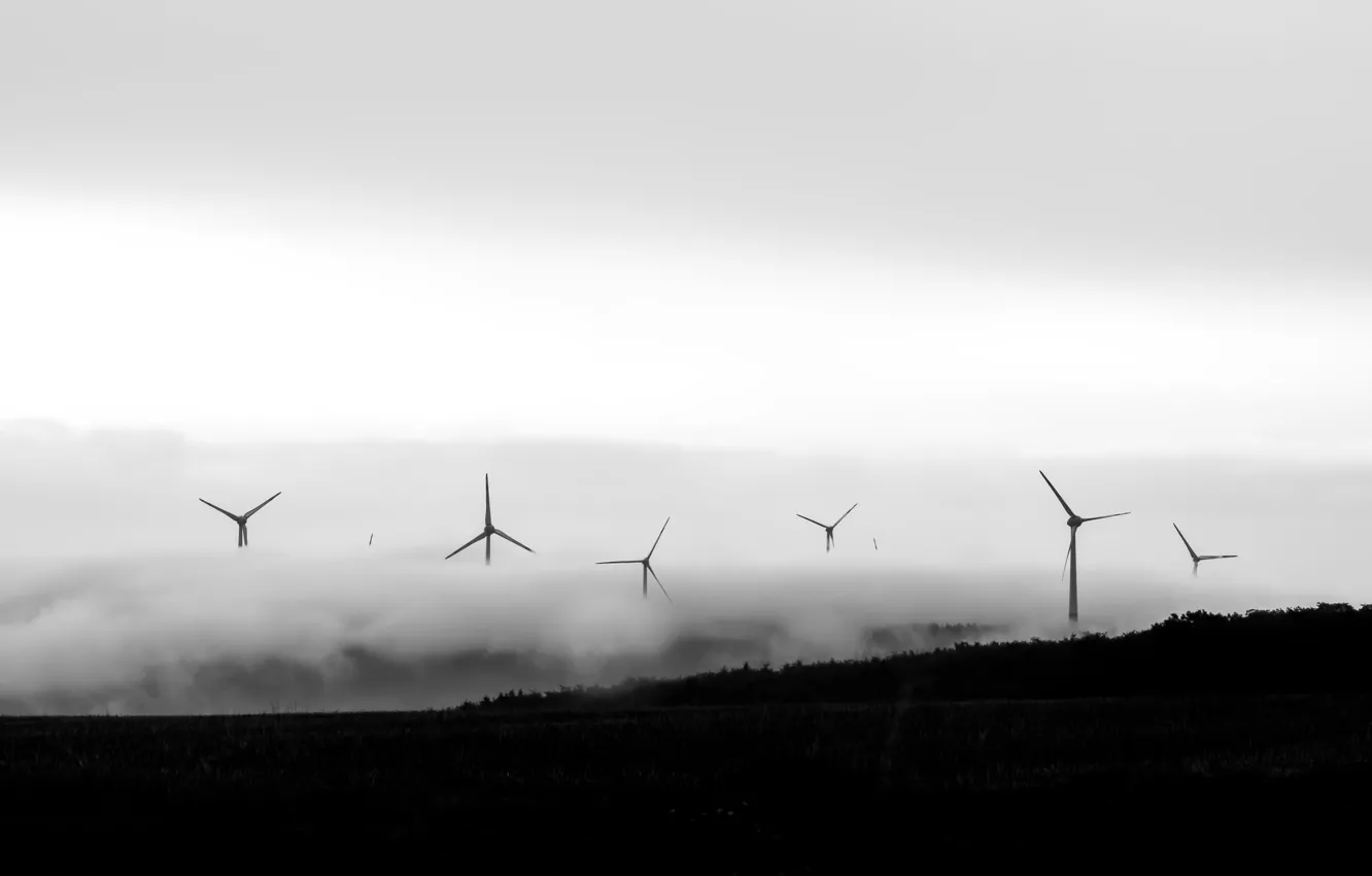 Photo wallpaper nature, fog, windmills