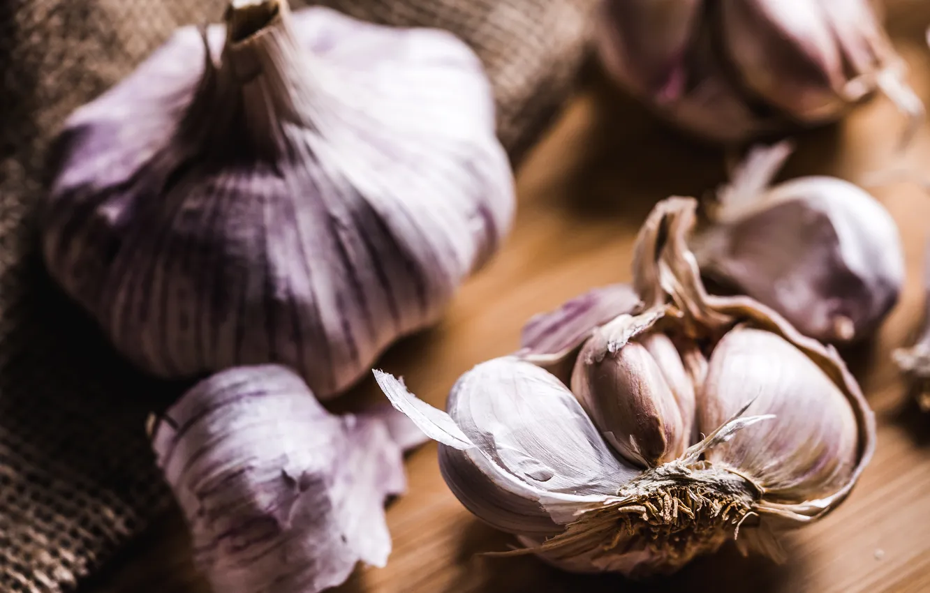 Photo wallpaper head, garlic, Garlic cultivars