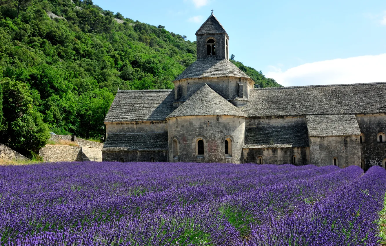 Photo wallpaper the sky, trees, flowers, slope, Church, lavender