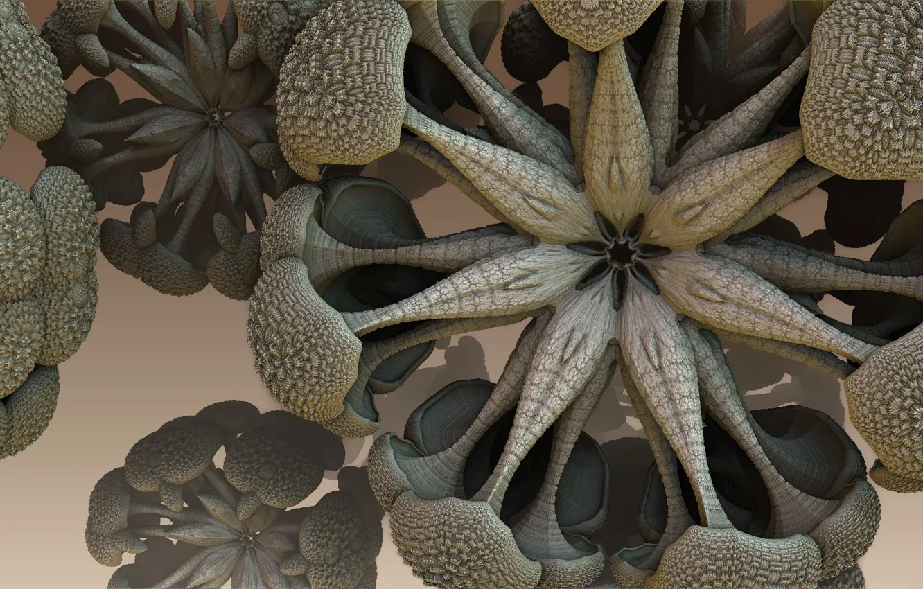 Photo wallpaper flower, fiction, the volume, symmetry