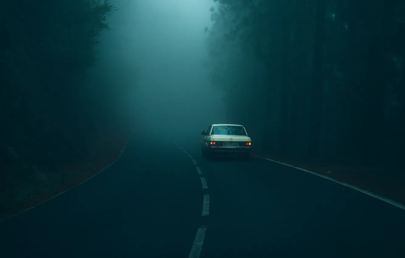 Photo wallpaper road, machine, forest, nature, fog, Mercedes