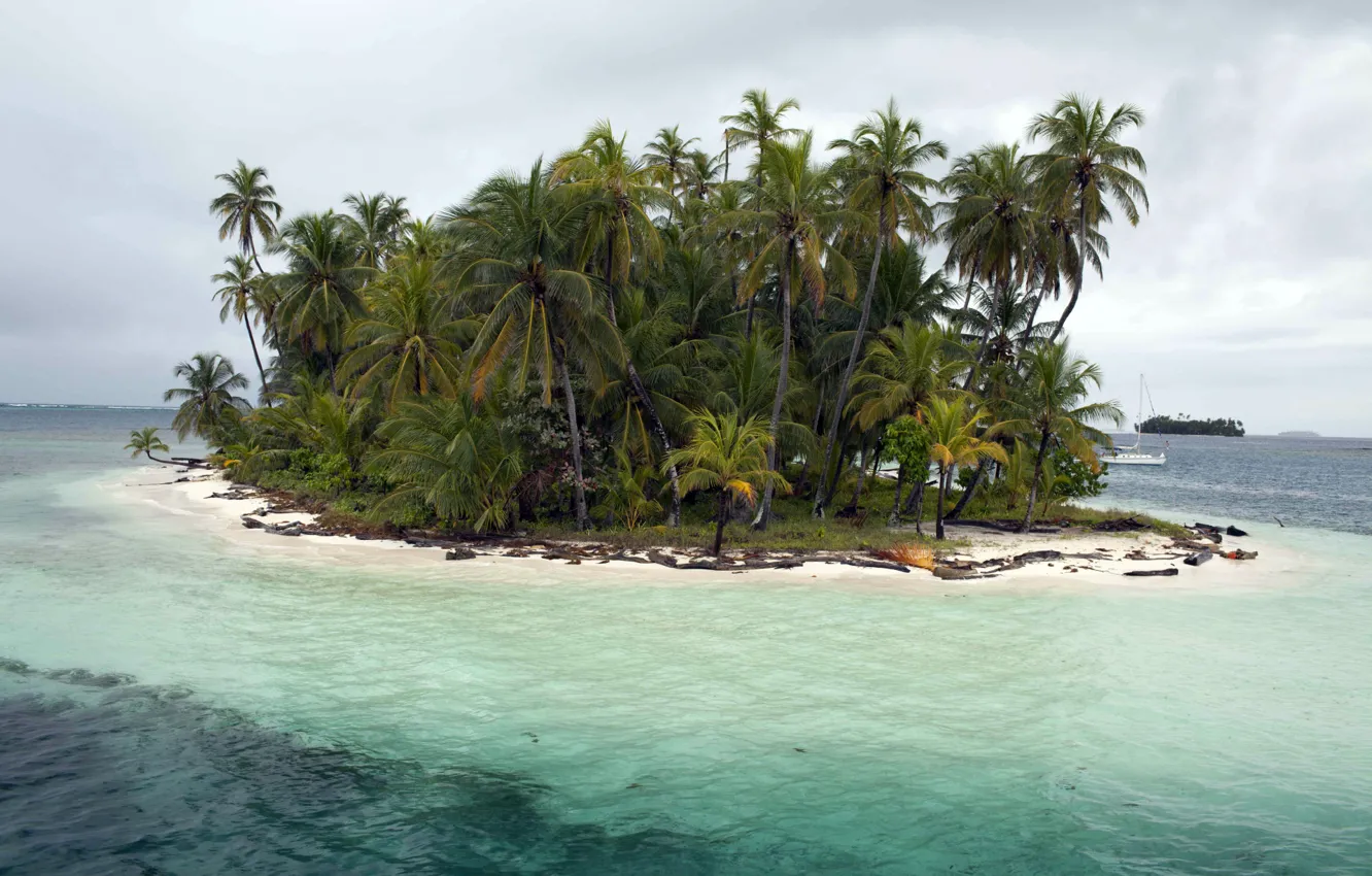 Photo wallpaper Sea, Island, Palms, San Blas Islands, Caribic