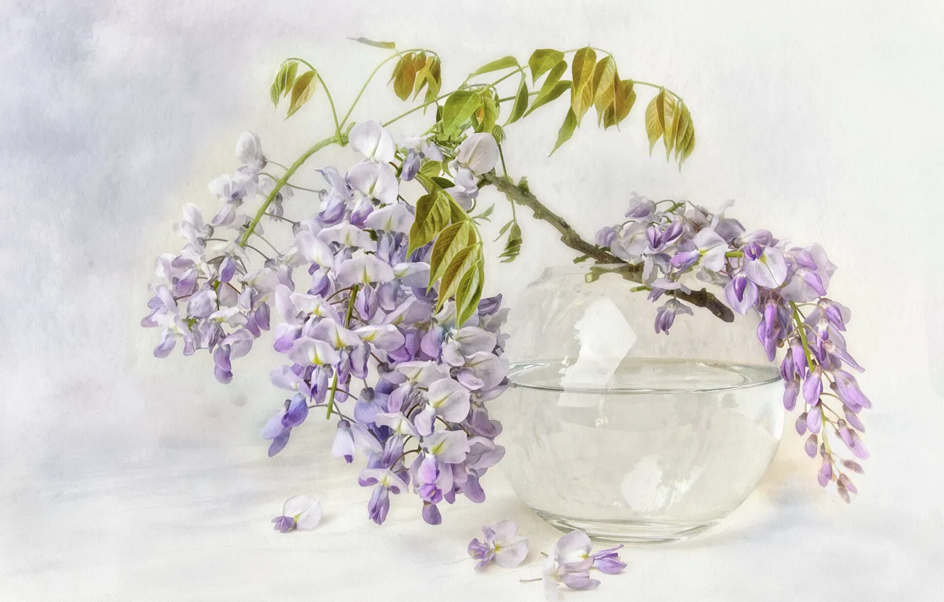 Photo wallpaper glass, leaves, water, flowers, background, bouquet, branch, petals