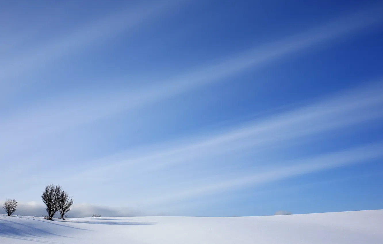Photo wallpaper winter, field, landscape