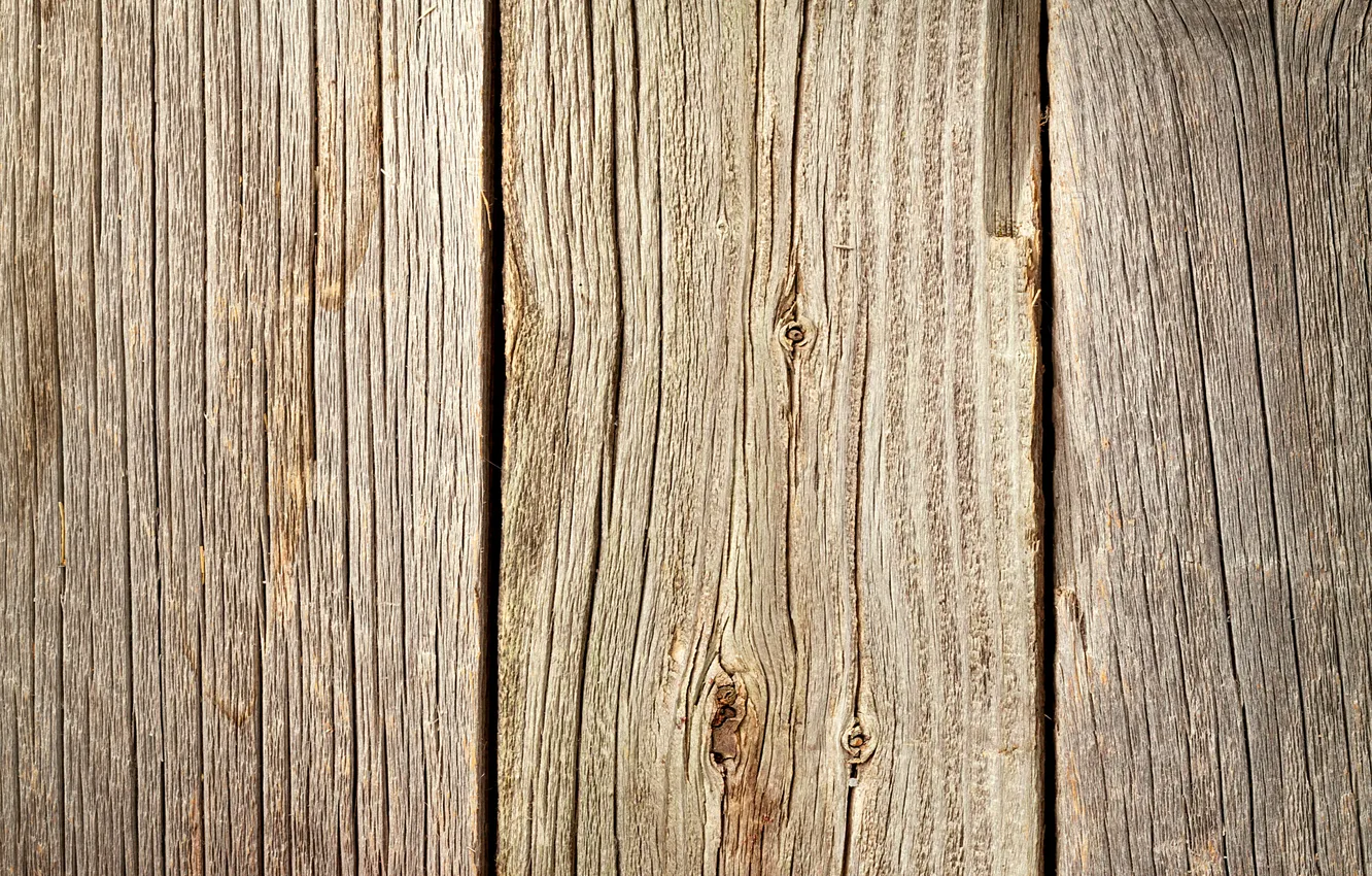 Photo wallpaper trees, Board, texture