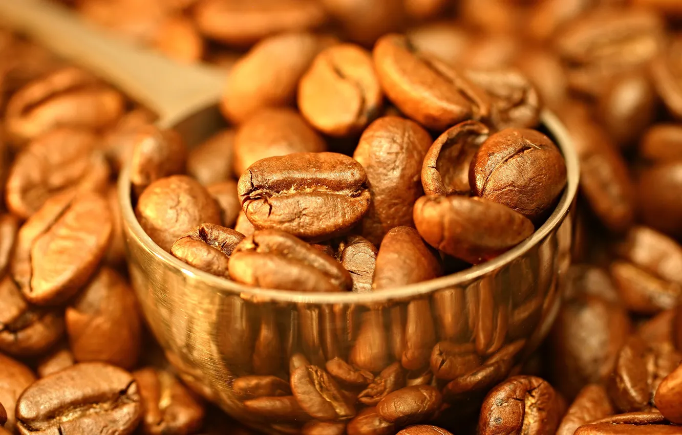 Photo wallpaper coffee, coffee beans, scoop, scoop