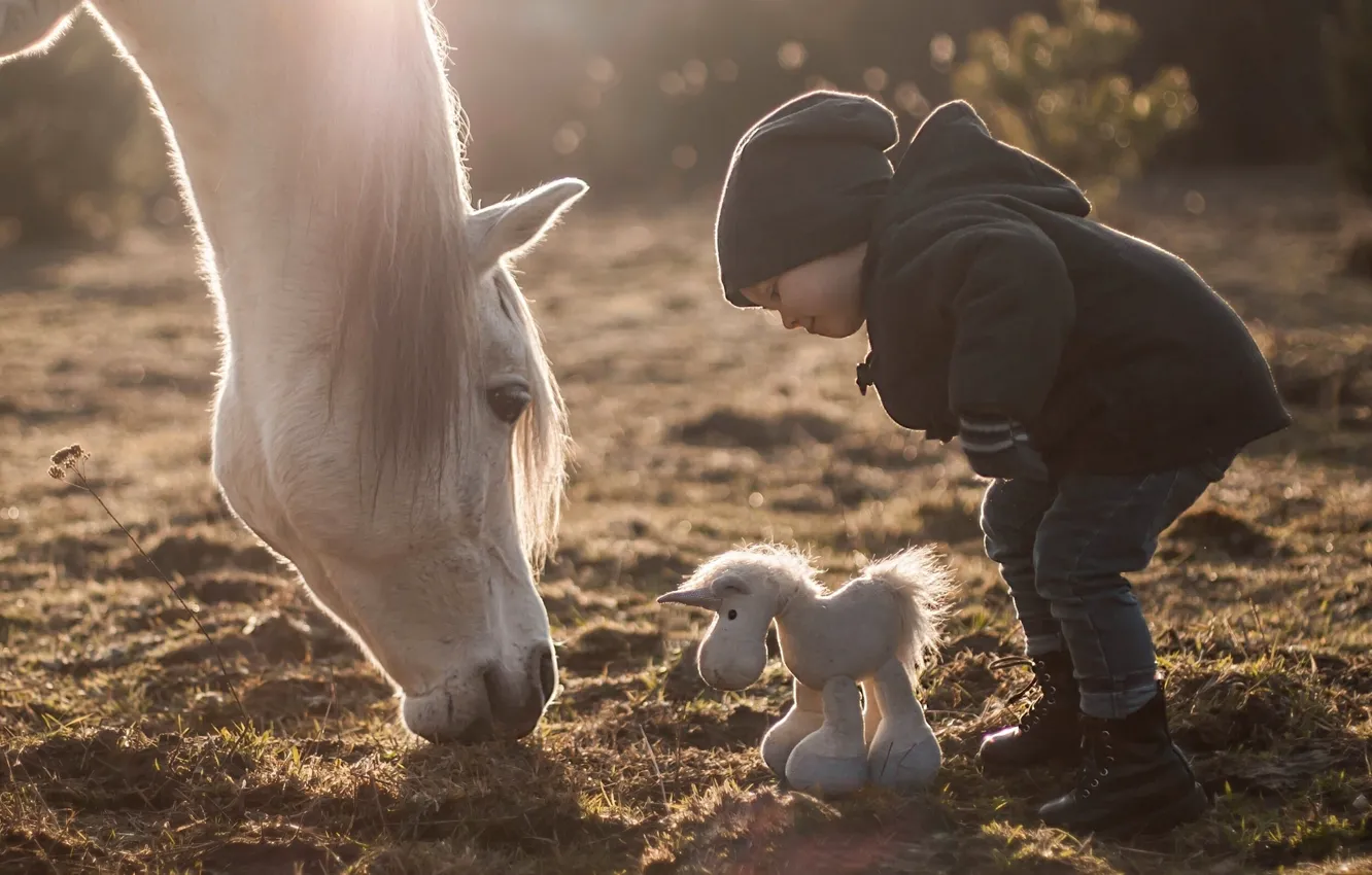 Photo wallpaper horse, horse, toy, boy, horse