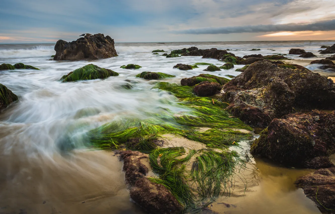 Photo wallpaper sand, sea, wave, beach, the sky, clouds, algae, stones