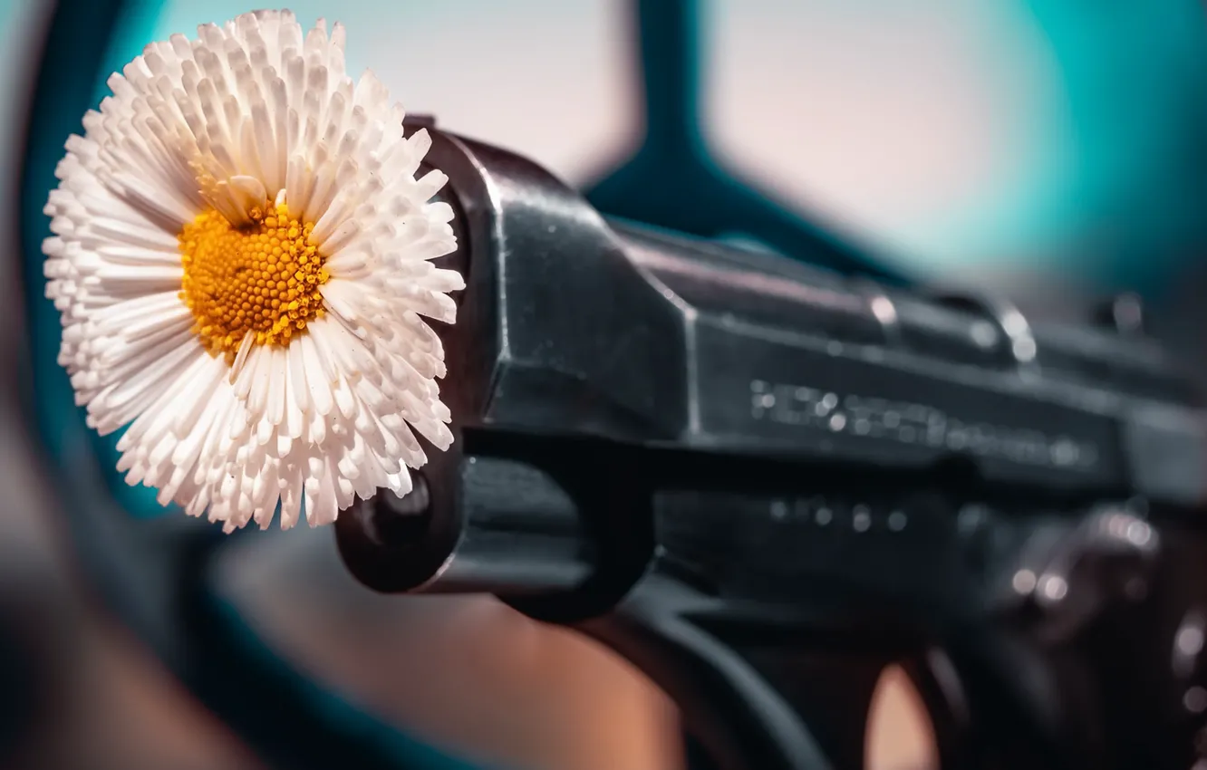 Photo wallpaper flowers, gun, background