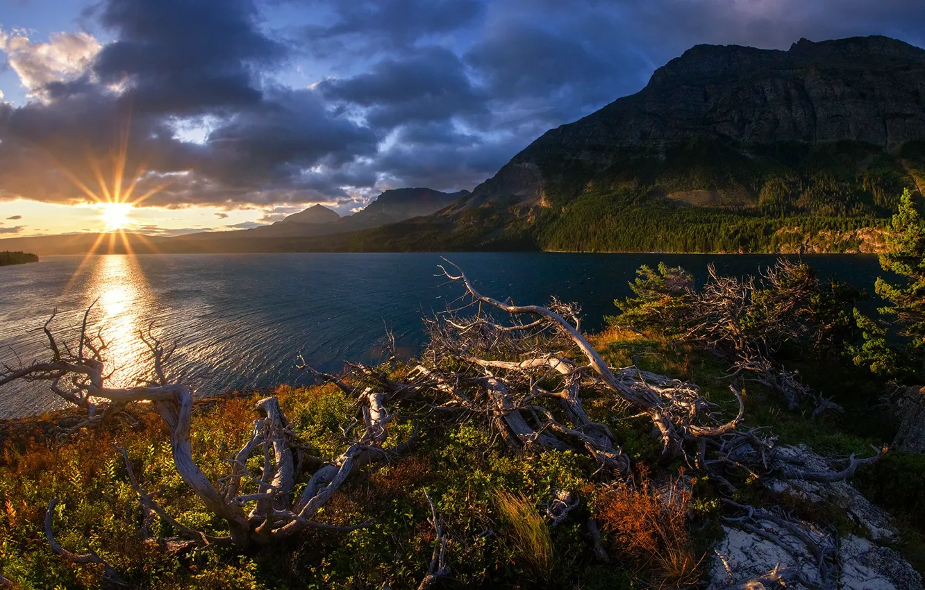 Photo wallpaper mountains, lake, sunrise, dawn, Montana, snag, Glacier National Park, Saint Mary Lake